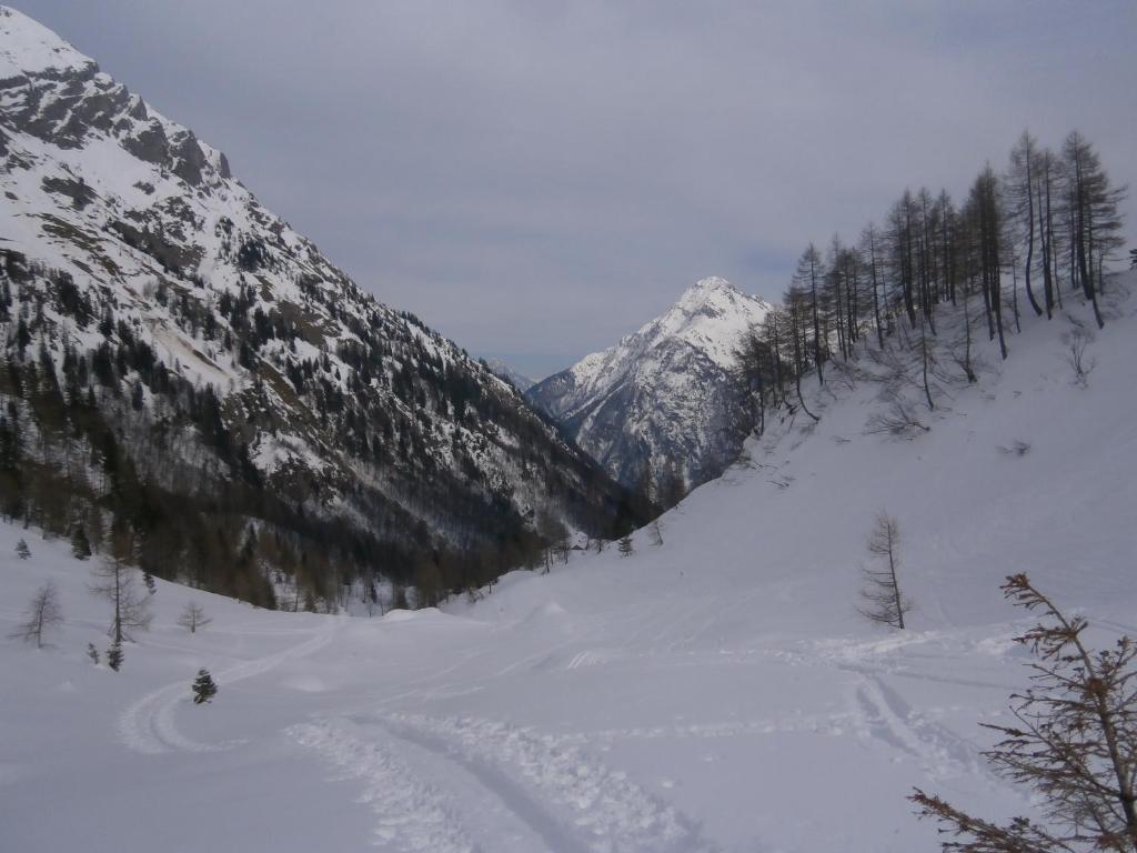 ホテルGasthof Untere Valentinalm Plöcken エクステリア 写真